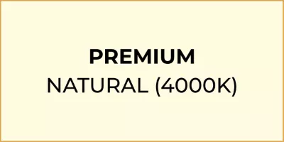 Premium natural light icon.
