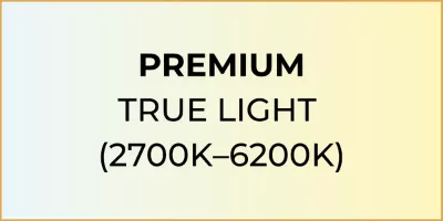 True light icon.
